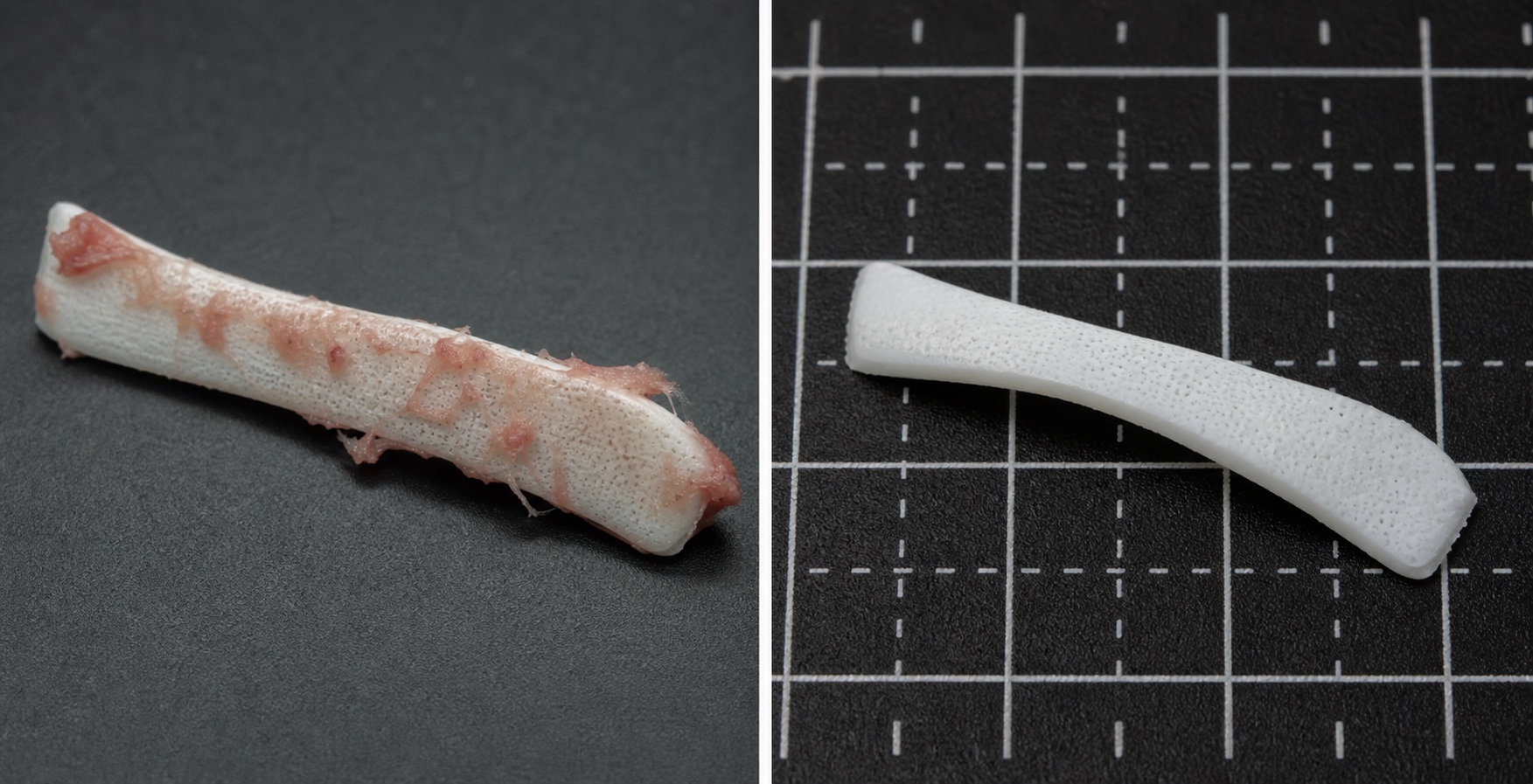 ภาพจำลอง ของวัสดุผสมซิลิโคนและ ePTFE
